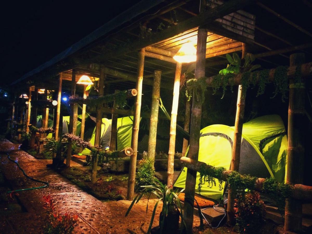 Dear Traveller Guest House And Glamping Lumajang Exterior foto